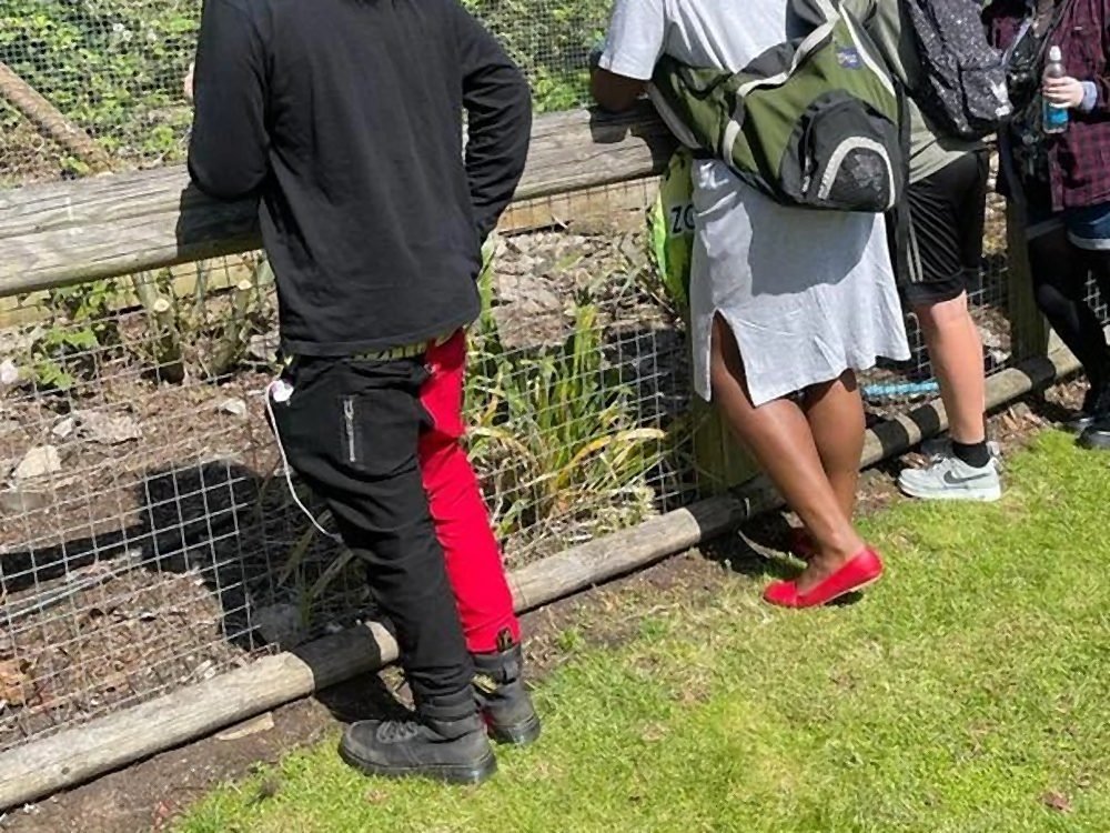 Students walking together along a fenced path on a day out